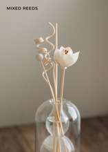 Load image into Gallery viewer, Diffuser