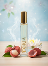 Load image into Gallery viewer, Discovery Set
